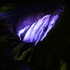 袋田の滝　ライトアップ１　～パープル～