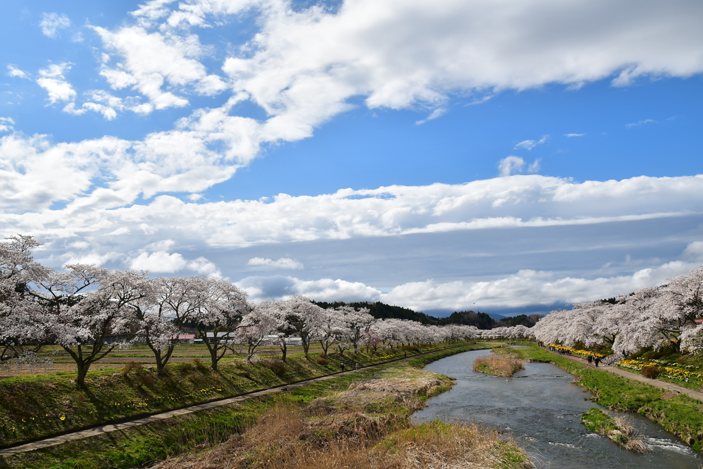 荒れ狂う春空の下