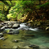 癒しの渓谷　十六　～　Seishido ravine ～