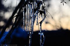 The beautiful tone of an icicle harp