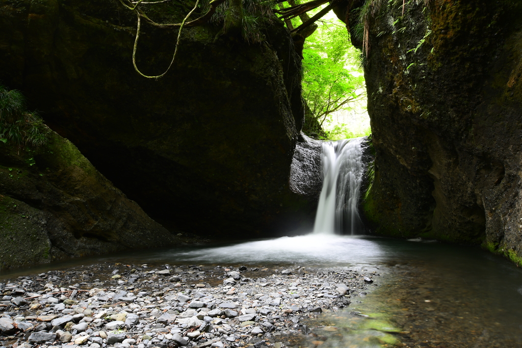 精霊の水　