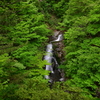 緑彩 〜相恋の滝〜