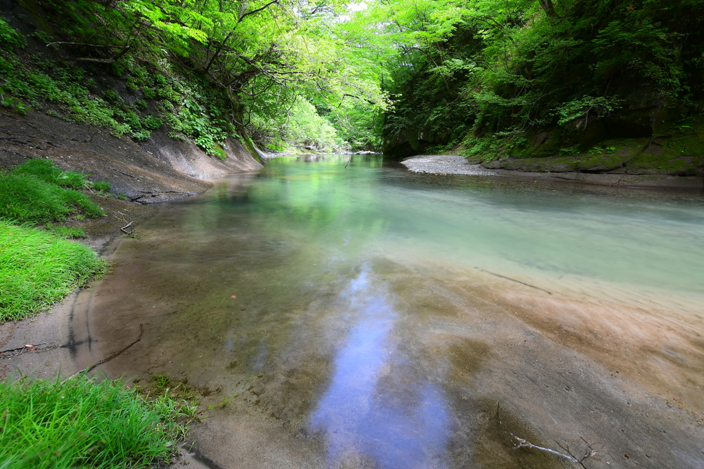 新緑の渓