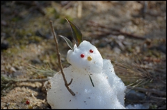 初めての雪だるま