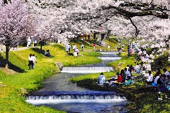 春を楽しむ