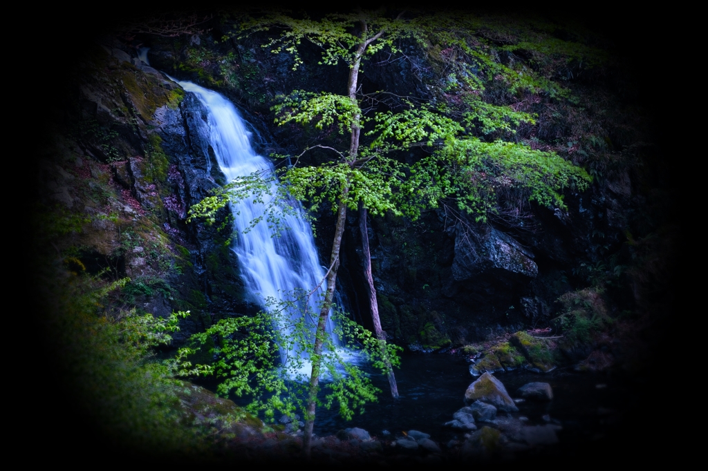 花滝　～新緑の風～