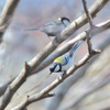 輝きながら