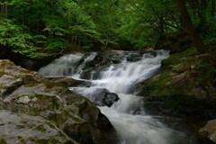 緑彩滑滝