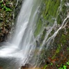 緑彩幕滝