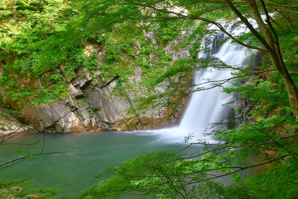 新緑 浅見川大滝 2