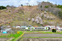 夏井の春 ４