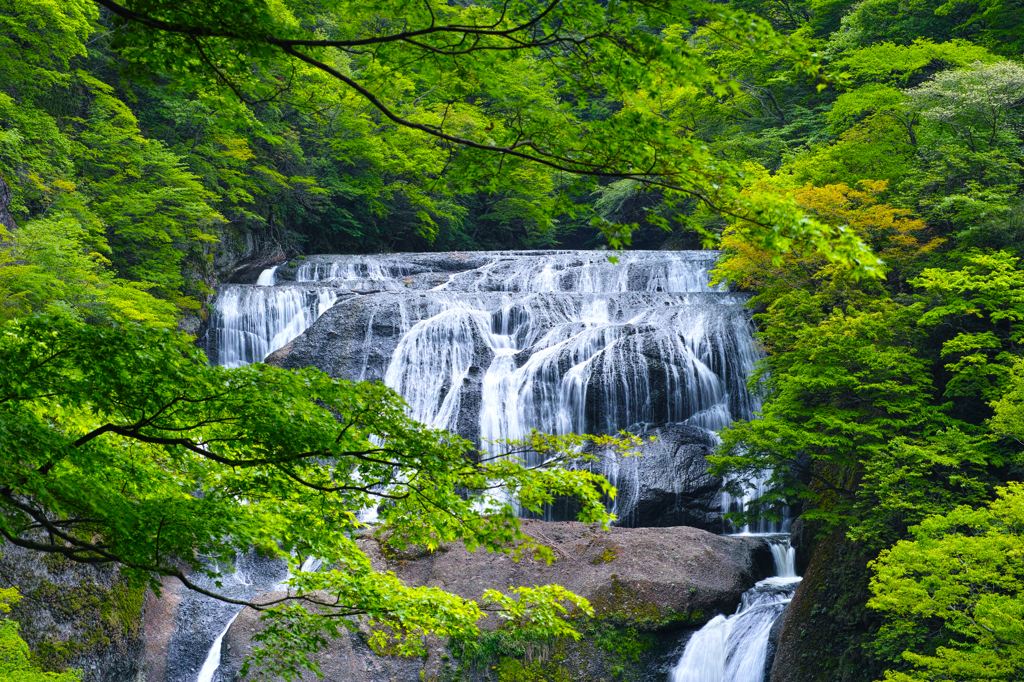 袋田の春　～新緑に包めれて～