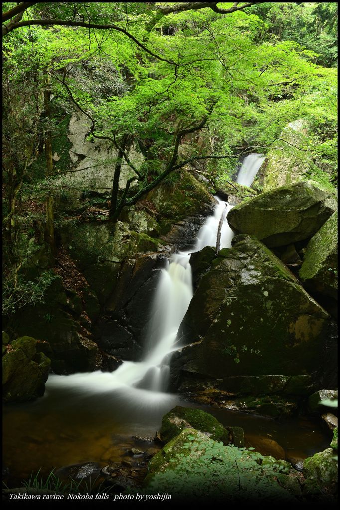 癒しの渓谷　十二　～　Ooiwa Falls ～