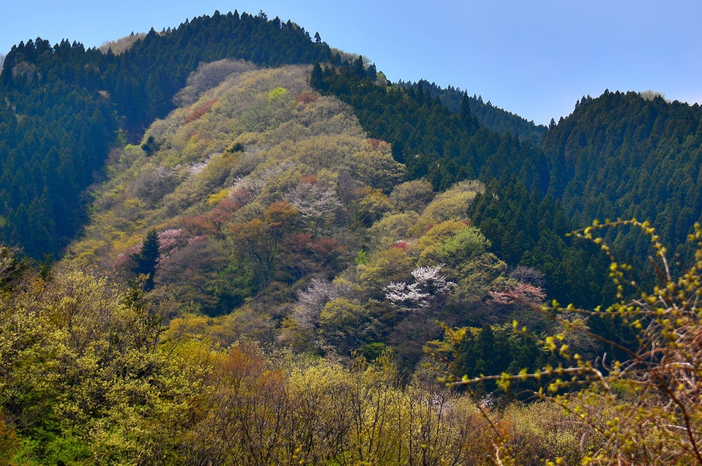 五彩山