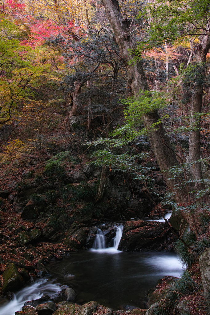 滝川の秋　３