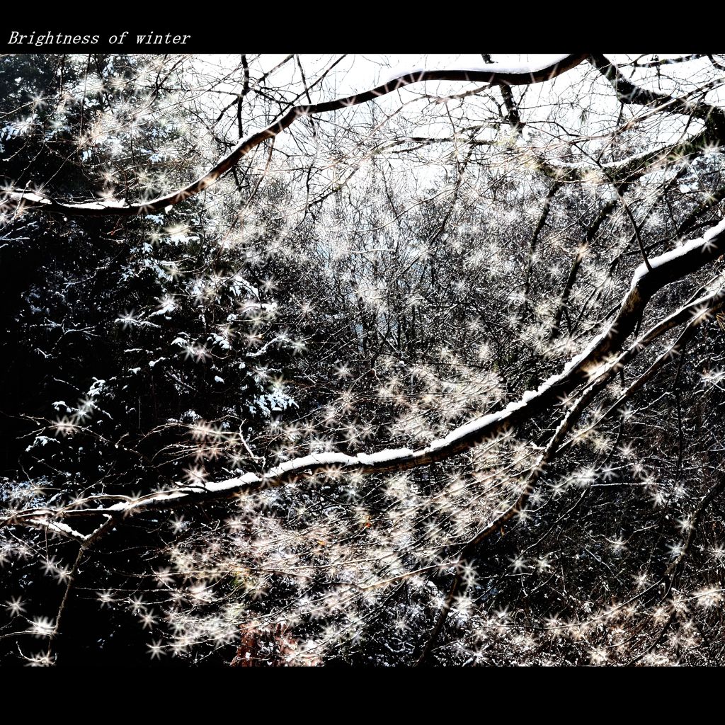 Brightness in early winter 