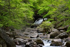 新緑 山鶏滝  ～2022～2