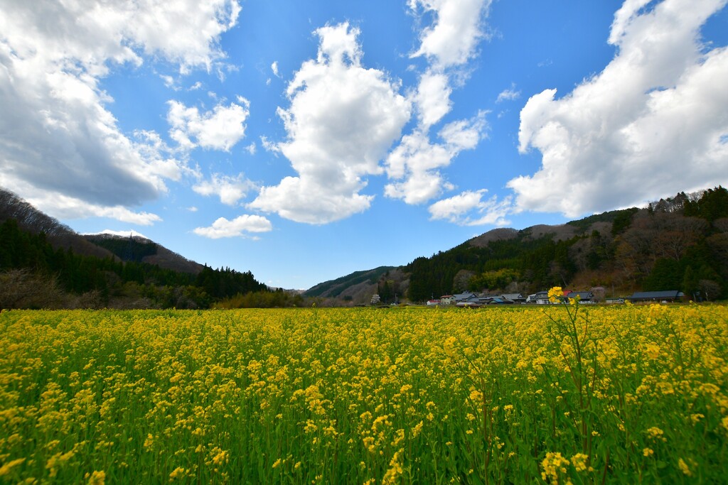 春彩の里  ～磐越東線川前エリア～