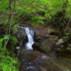 終夏　～東山の渓～