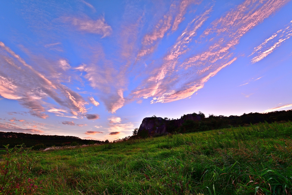 Dusk close