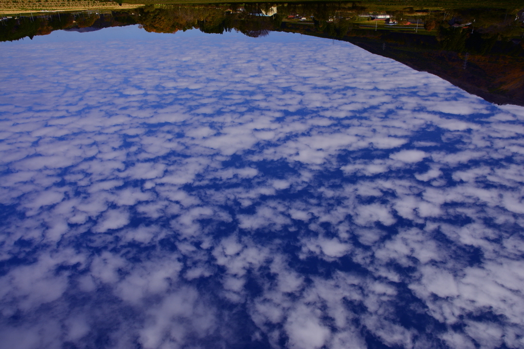 晩秋の空にうろこ雲　２