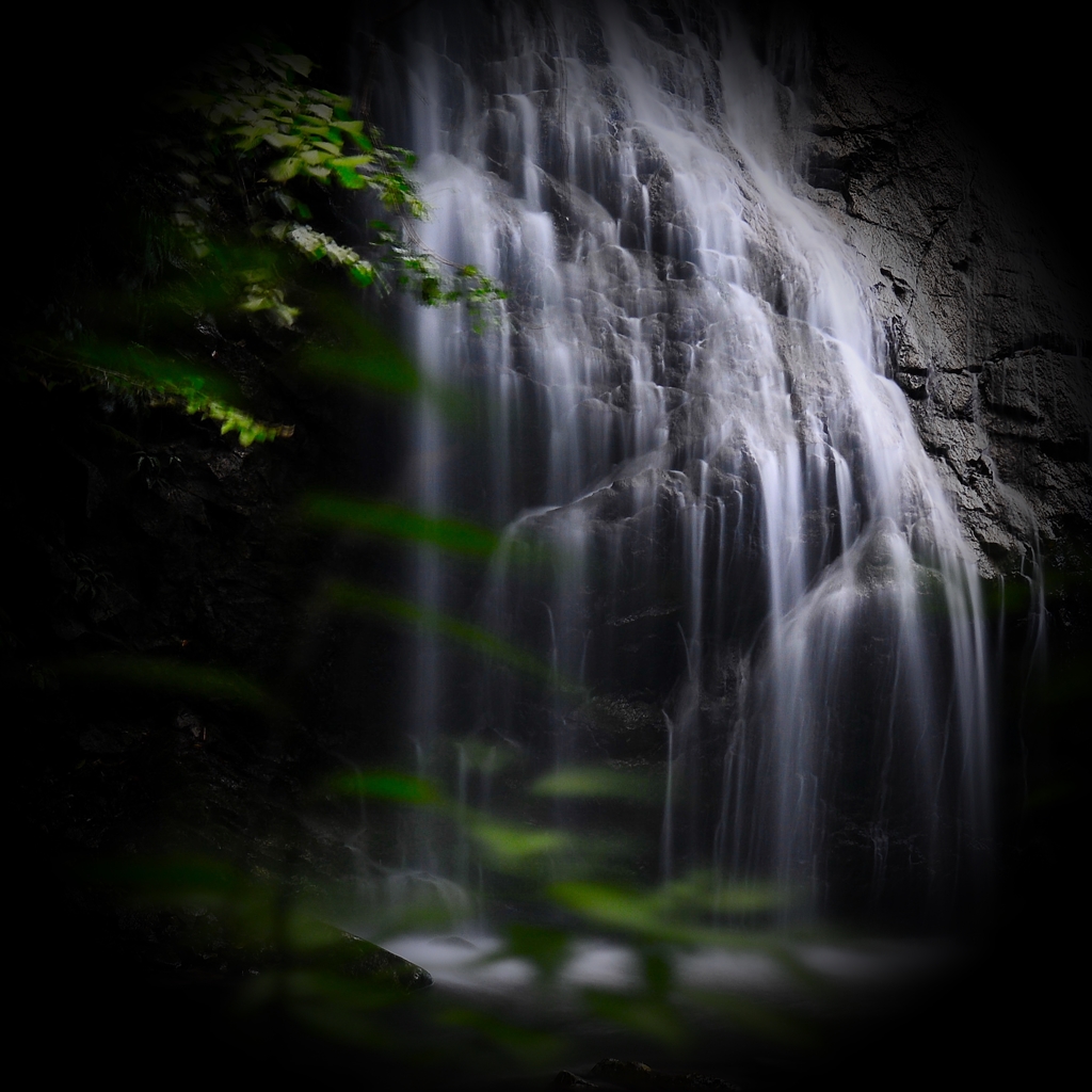 優美緑彩　～ ひそやかなる滝の流れ ～