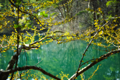 新しい未来へ 新しい未来へ