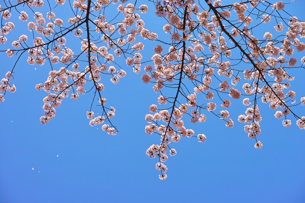 春空