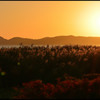 Evening glow of Inawashiro II