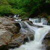 緑彩江竜田 2