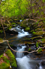 春の滝川 ~癒しを求め~ 春の滝川 ~癒しを求め~