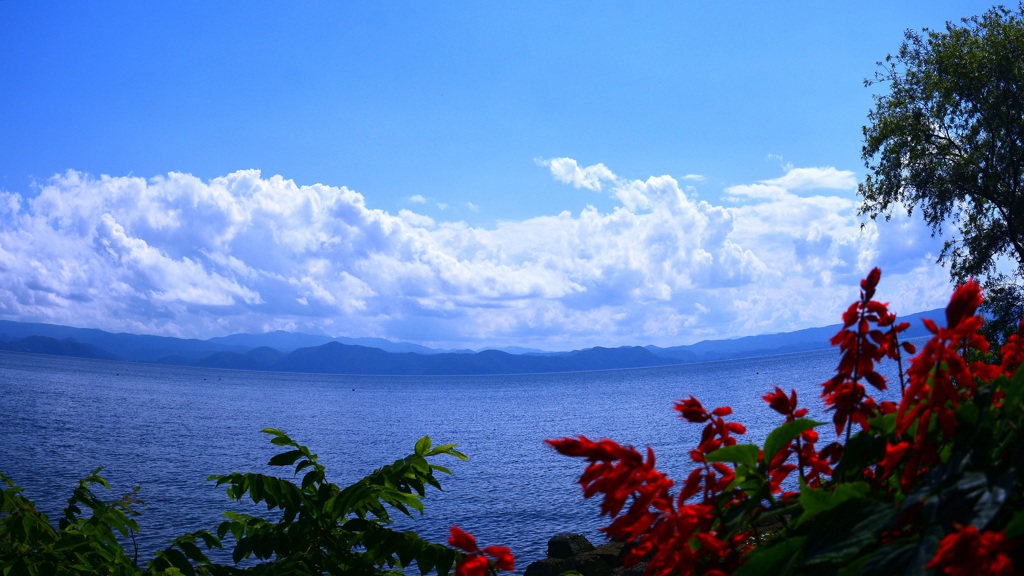 気分は常夏の島　３