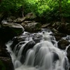 山鶏滝 〜初夏の色彩〜