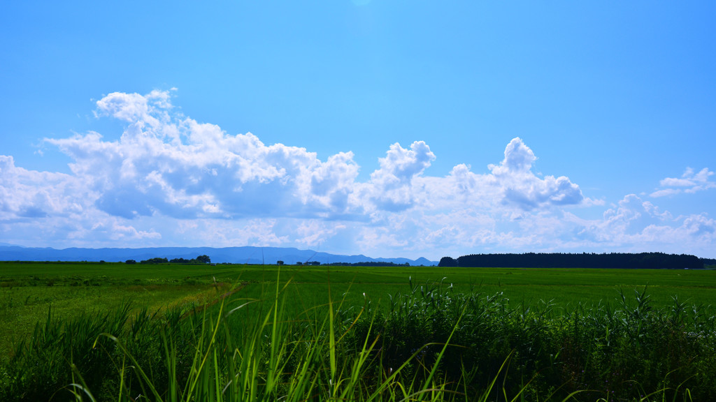 郷愁夏空