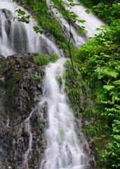滝沢 白糸の滝 2