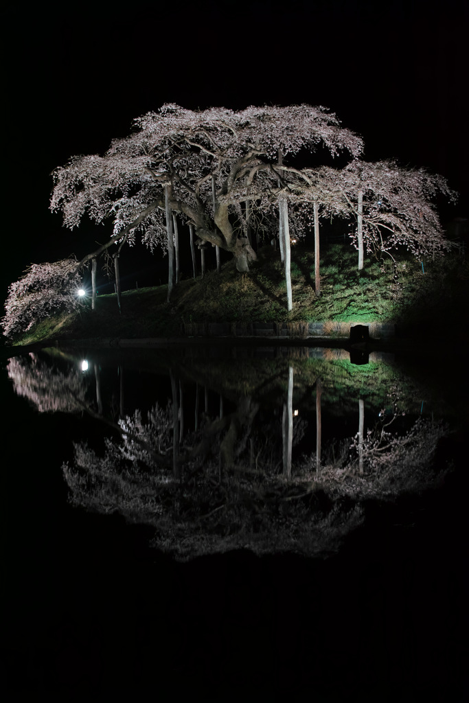 静寂　～ 中島の夜 ～