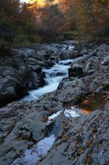 晩秋の渓 晩秋の渓