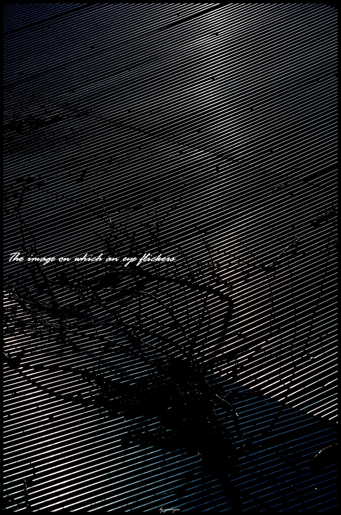 The tin roof with which it shines 