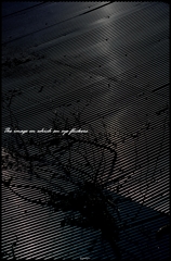 The tin roof with which it shines 