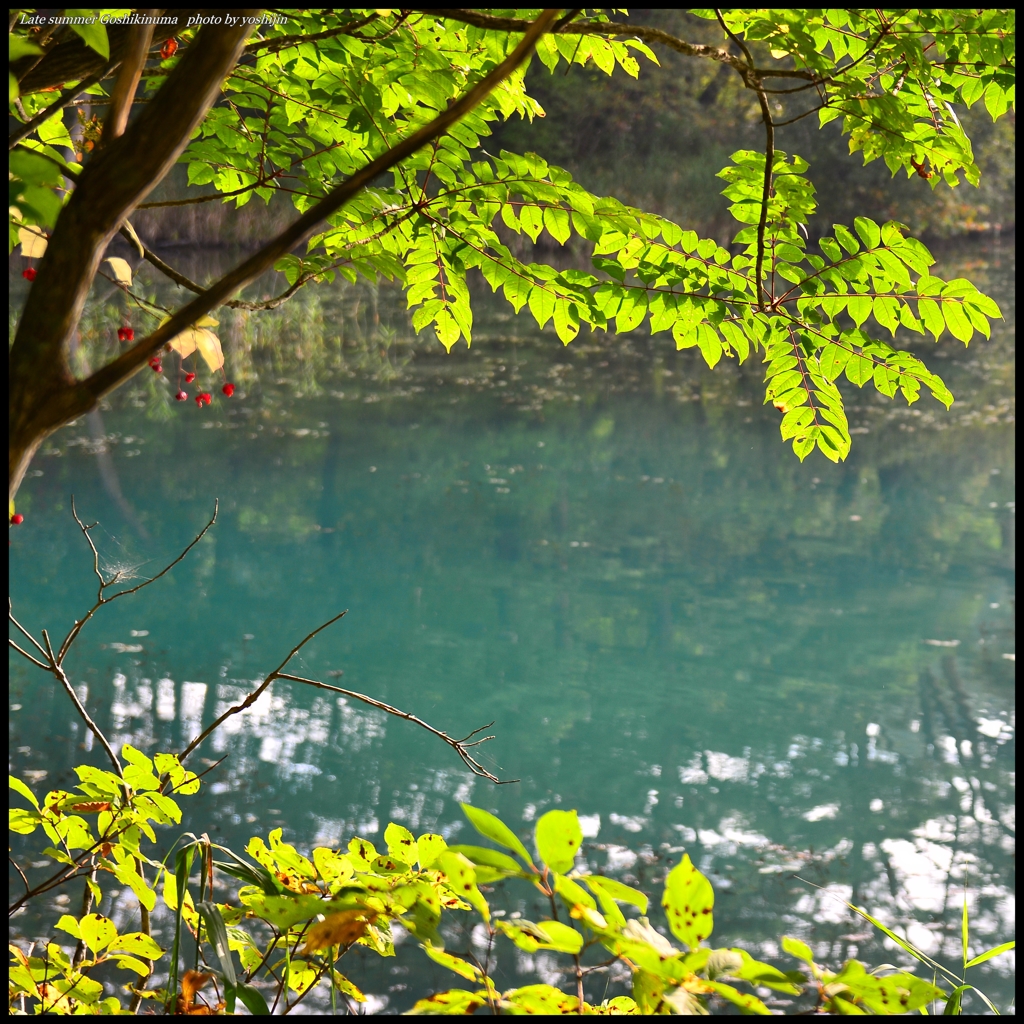 初秋　五色沼の情景　一　　