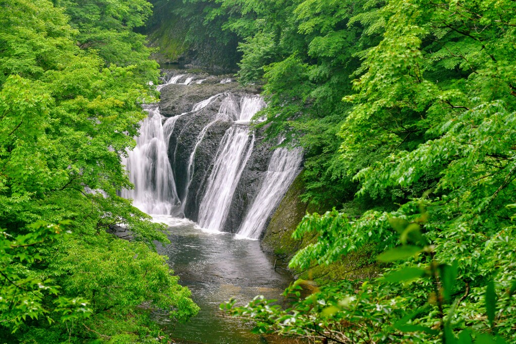 生瀬滝〜新緑に包まれて〜