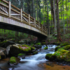 春滝川　～癒しの橋～