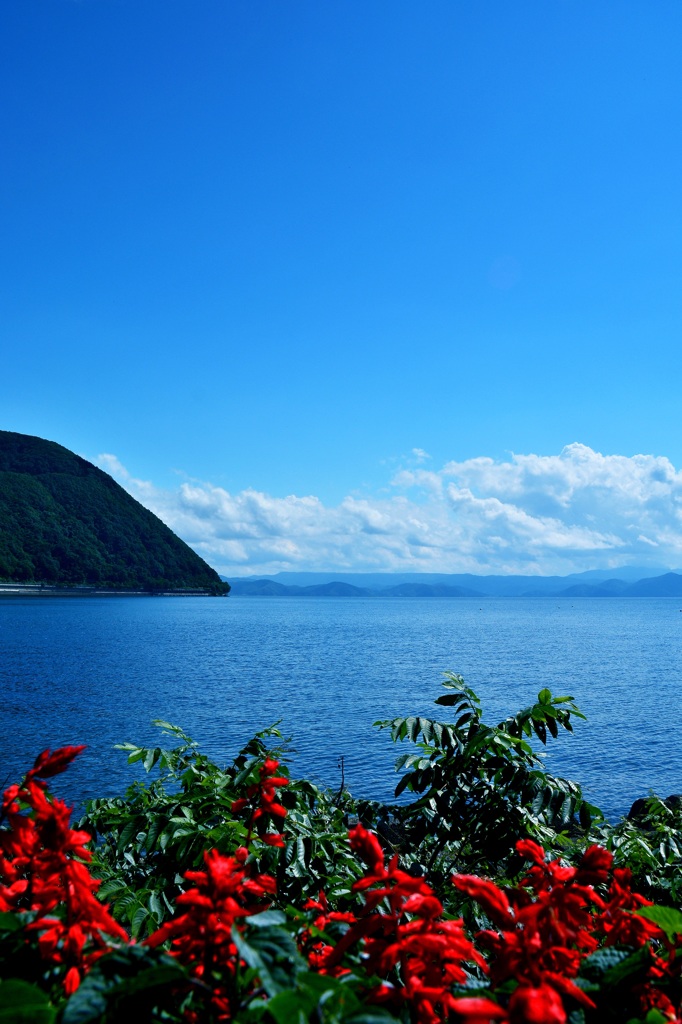 気分は常夏の島