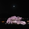 滝桜ライトアップ 2025