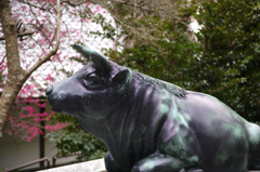 牛歩千里 牛歩千里