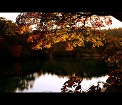 日没前の輝く五色沼紅葉