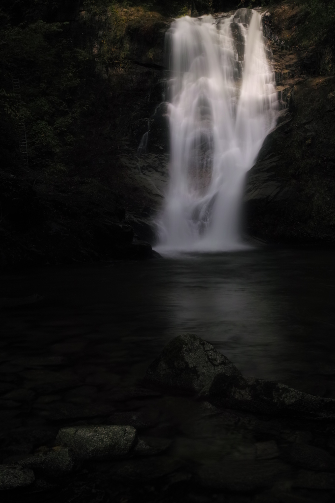 精霊の叫び