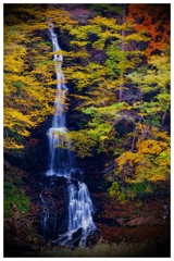 秋彩　日暮の小滝　２