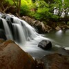 山鶏滝 ～2021 新緑～