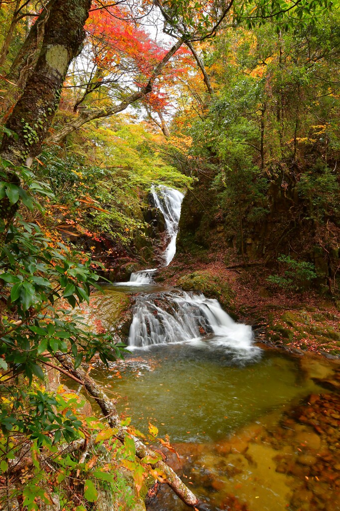 秋彩 釜ヶ淵の滝 二